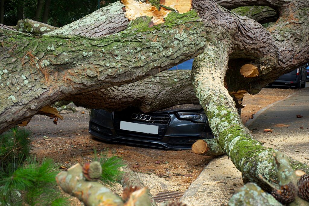 pexels photo 5351108 A large tree has fallen on an Audi car, severely damaging it on a city street in the UK.